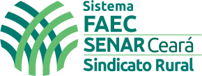 cropped-sistema
